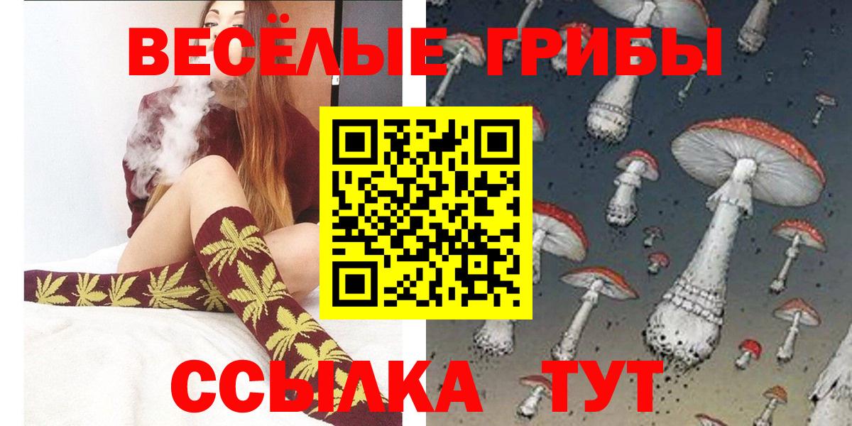 Саки  Псилоцибиновые грибы Psilocybine cubensis  Вход с VPN 